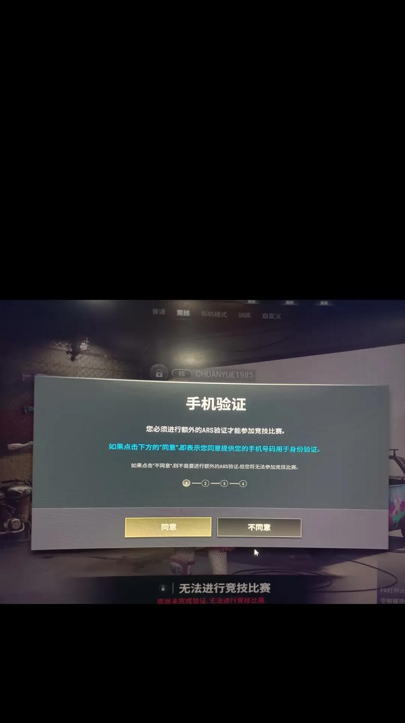 绝地求生新验证系统进入方法？验证系统的作用是什么？-第2张图片-西柚游戏