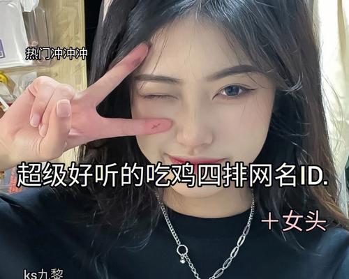 绝地求生中如何找到特定昵称的玩家？有哪些查找昵称的方法？-第1张图片-西柚游戏
