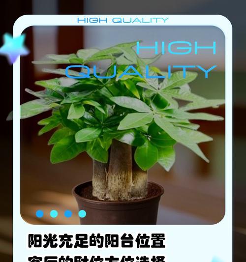 三国杀发财树的使用套路是什么？如何利用发财树获胜？-第1张图片-西柚游戏