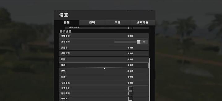 绝地求生中如何调整中文输出设置？调整后如何查看中文界面？-第3张图片-西柚游戏