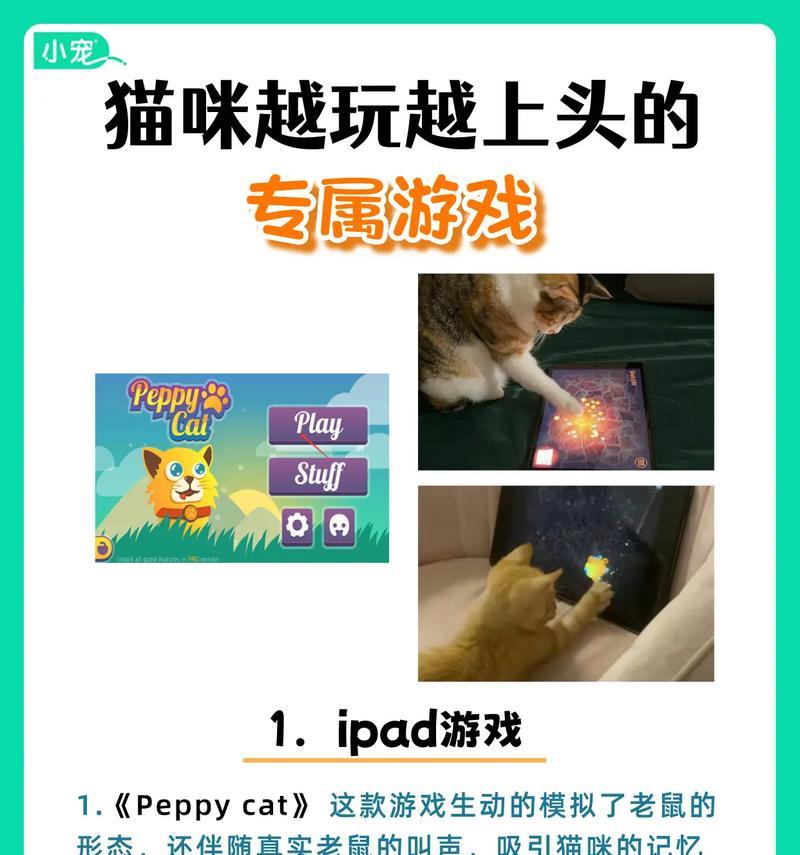 现实中的猫能玩我的世界吗？如何让宠物与游戏互动？-第2张图片-西柚游戏