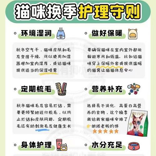 更换宠物皮肤的步骤是什么？如何选择合适的皮肤？-第1张图片-西柚游戏