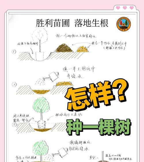 部落冲突中树木如何快速成长？有哪些方法可以促进树木生长？-第2张图片-西柚游戏