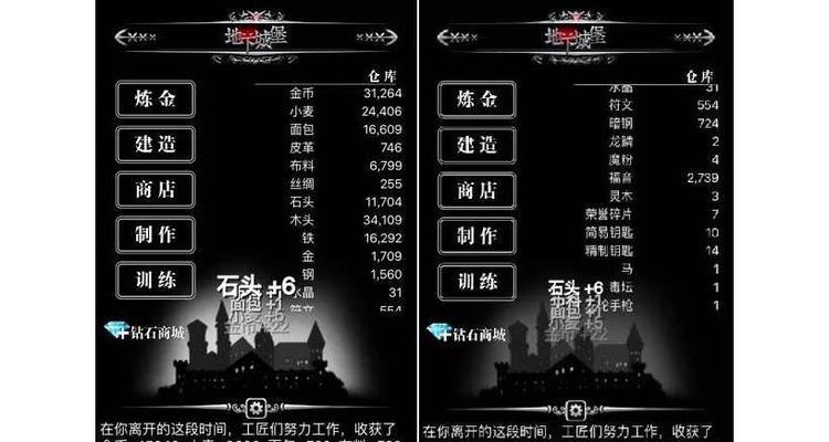 《探索地下城堡1星远征队伍的冒险之旅》（一场奇幻世界中的挑战与探险）-第3张图片-西柚游戏
