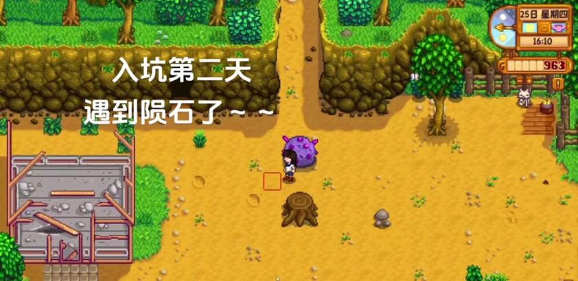 星露谷物语陨石挖掘攻略（探索星露谷）-第2张图片-西柚游戏