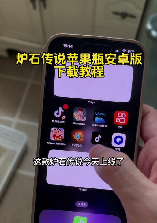 国外炉石传说手机版如何下载和设置？-第3张图片-西柚游戏