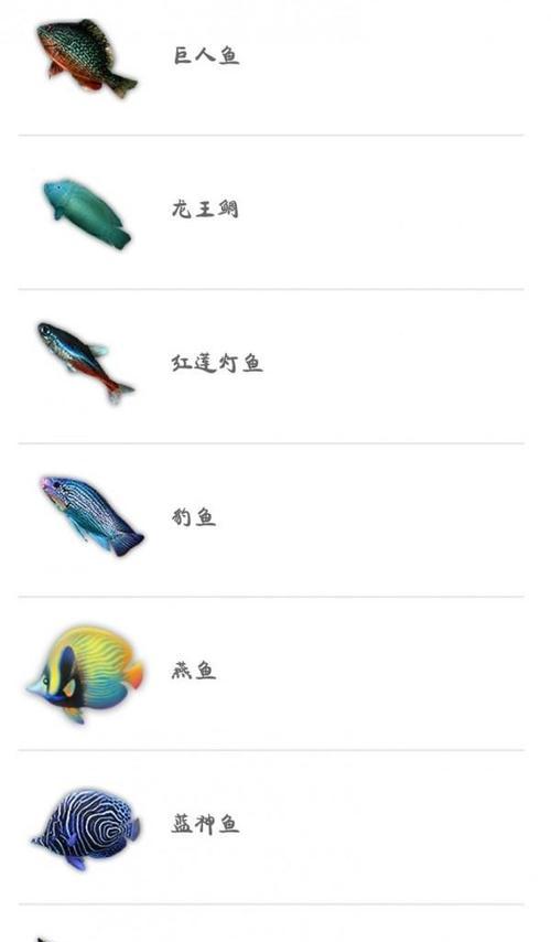 《山海笛子连招笛子最强使用攻略》（成为笛子大师）-第2张图片-西柚游戏