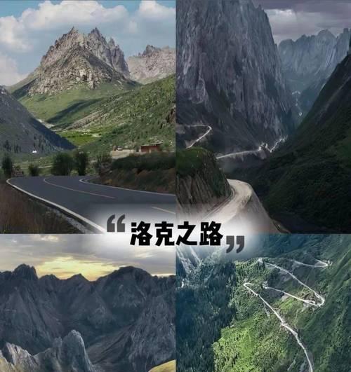 问道中定制找号功能如何使用？找号过程中应注意什么？-第2张图片-西柚游戏
