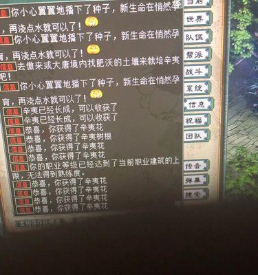 大话西游采矿炼制的步骤是什么？如何正确进行采矿炼制？-第2张图片-西柚游戏
