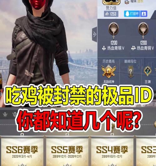 绝地求生ID段位查看方法是什么？如何提升？-第2张图片-西柚游戏