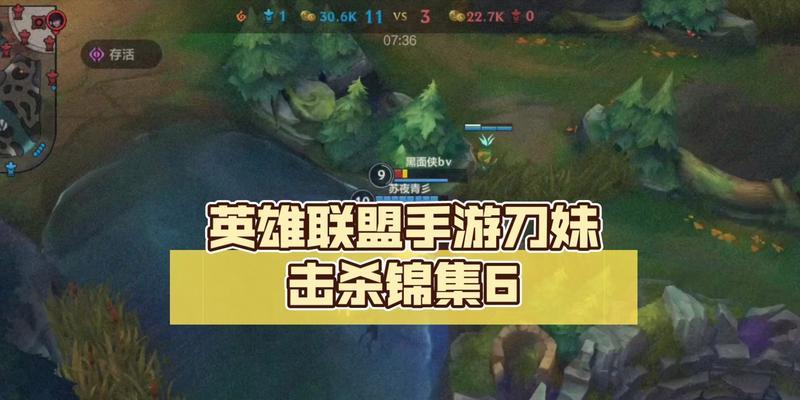 英雄联盟手游六杀大揭秘（教你成为王者）-第2张图片-西柚游戏