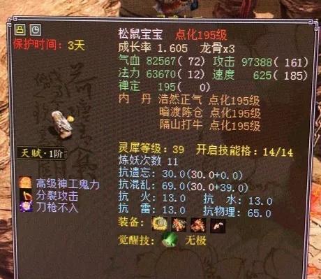 大话西游2中的松鼠宠物有何特点？如何培养更强大？-第1张图片-西柚游戏