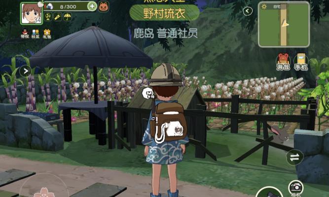 《小森生活》玩家必备（如何修复石墙）-第2张图片-西柚游戏