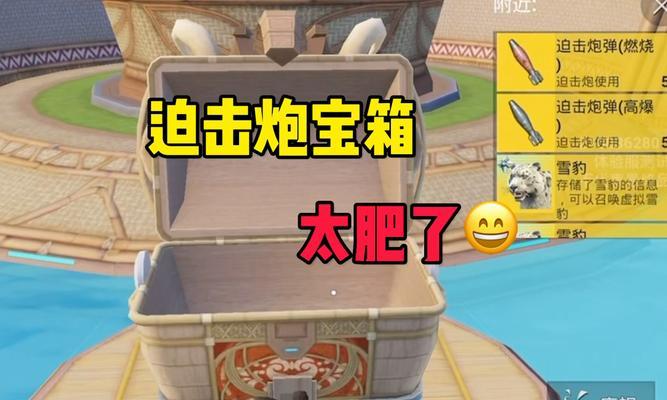 绝地求生怎么拿自己的武器？如何确保武器不被他人拾取？-第3张图片-西柚游戏