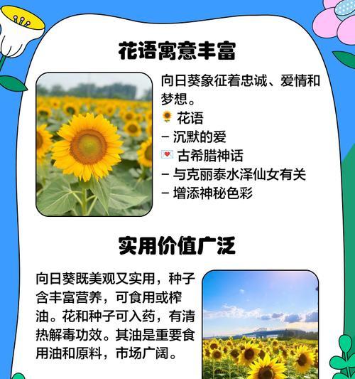 创造与魔法（探寻向日葵的奇妙世界）-第3张图片-西柚游戏