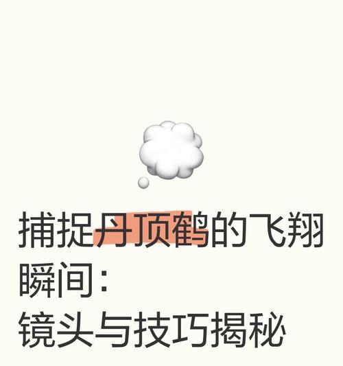 问道中仙鹤如何快速飞行？提升仙鹤飞行速度的技巧有哪些？-第2张图片-西柚游戏