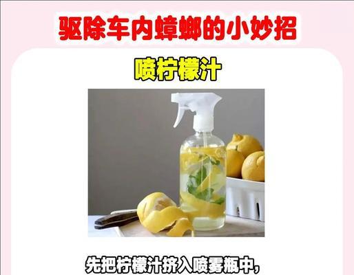 绝地求生蟑螂车修理方法？如何快速修复？-第1张图片-西柚游戏