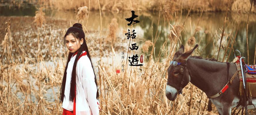 大话西游中如何演绎角色？有哪些技巧？-第1张图片-西柚游戏