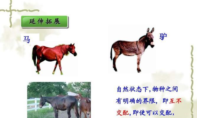 《以鸿之下》马匹特技与育马技巧要点详解（掌握游戏中的马术绝技）-第1张图片-西柚游戏