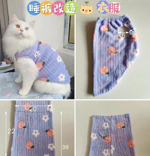 绝地求生小白猫衣服获取方法是什么？哪里可以得到小白猫衣服？-第3张图片-西柚游戏