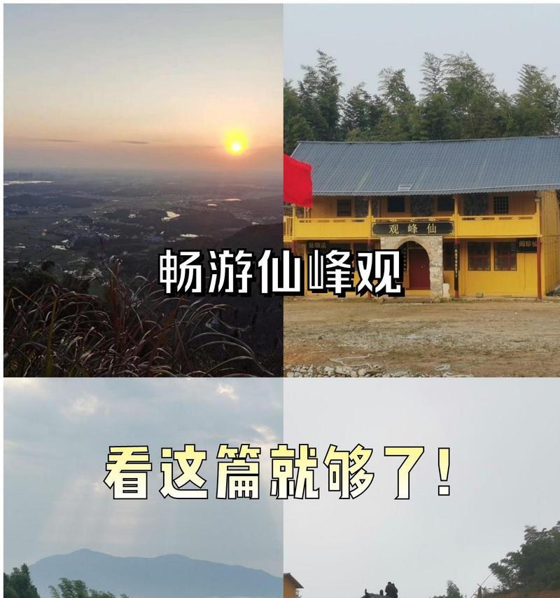 问道缥缈打理仙山怎么打理？仙山打理的正确方式和技巧是什么？-第3张图片-西柚游戏