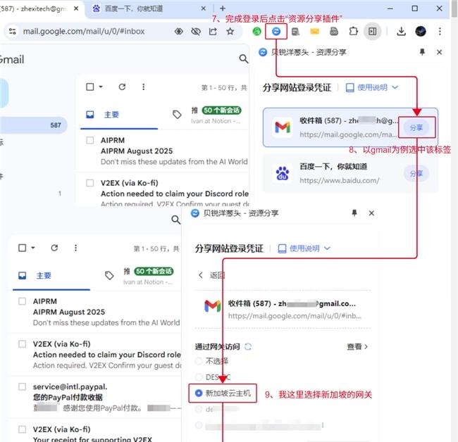 光速分享代理与登录状态，贝锐洋葱头带来全新体验！-第3张图片-西柚游戏