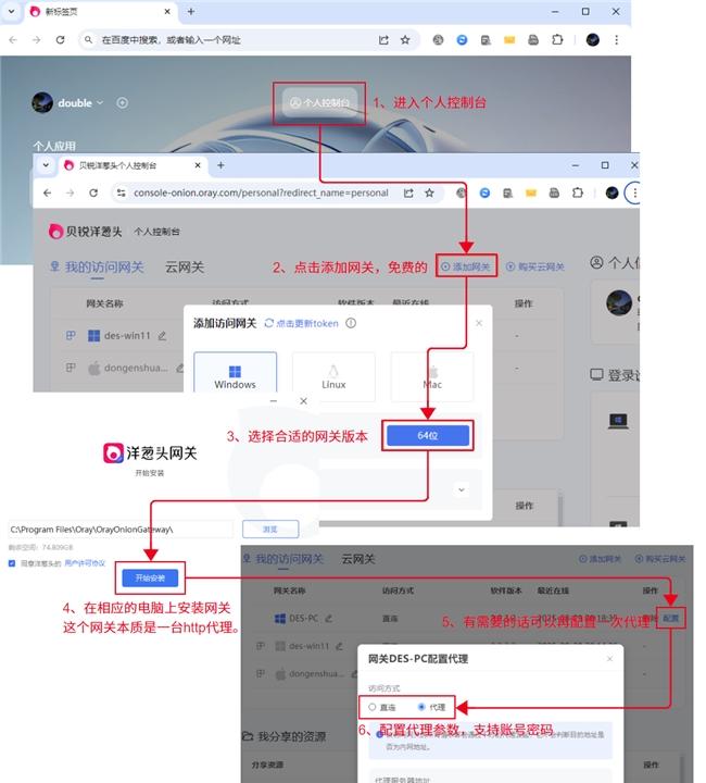 光速分享代理与登录状态，贝锐洋葱头带来全新体验！-第2张图片-西柚游戏